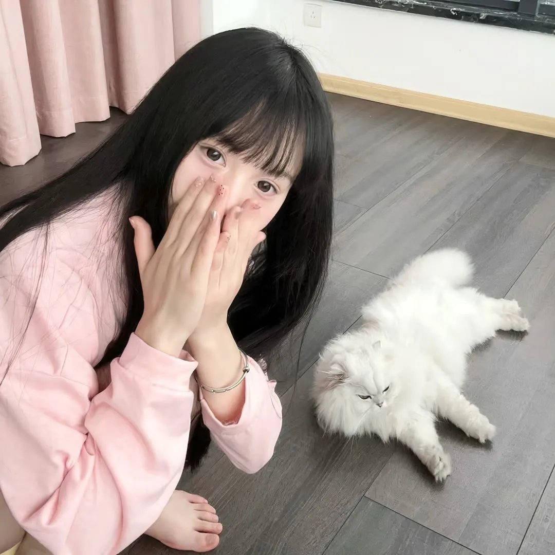 小蜜蜂 勇气的旋律